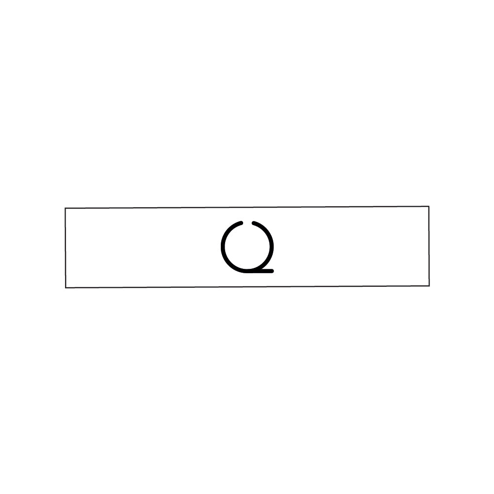 Initial Rings