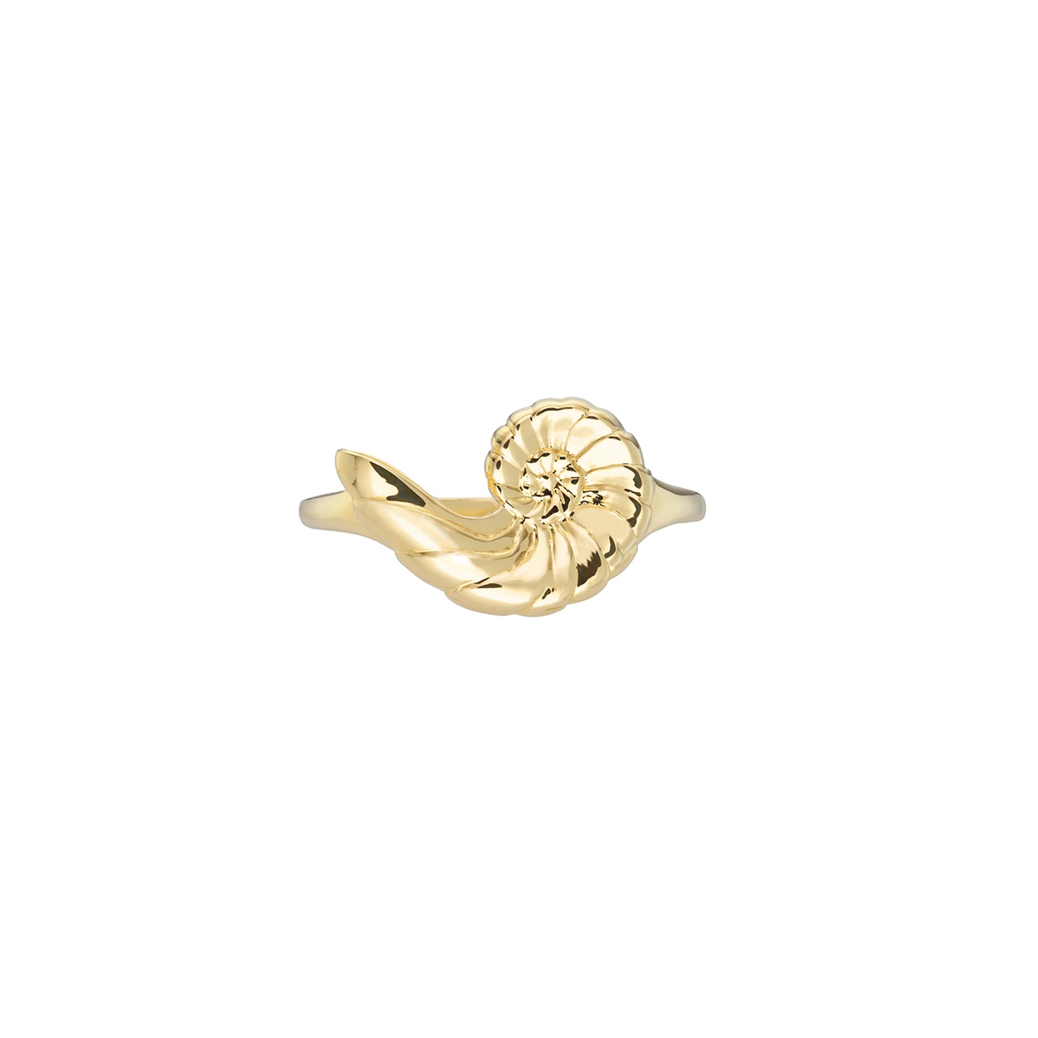 Solace Ammonite Ring