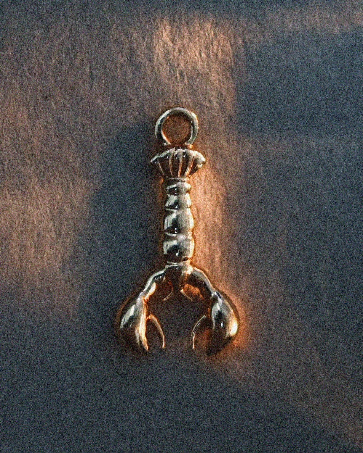 The Lobster Espirit Plaque