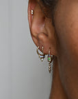 AZ Honey Hook Earrings