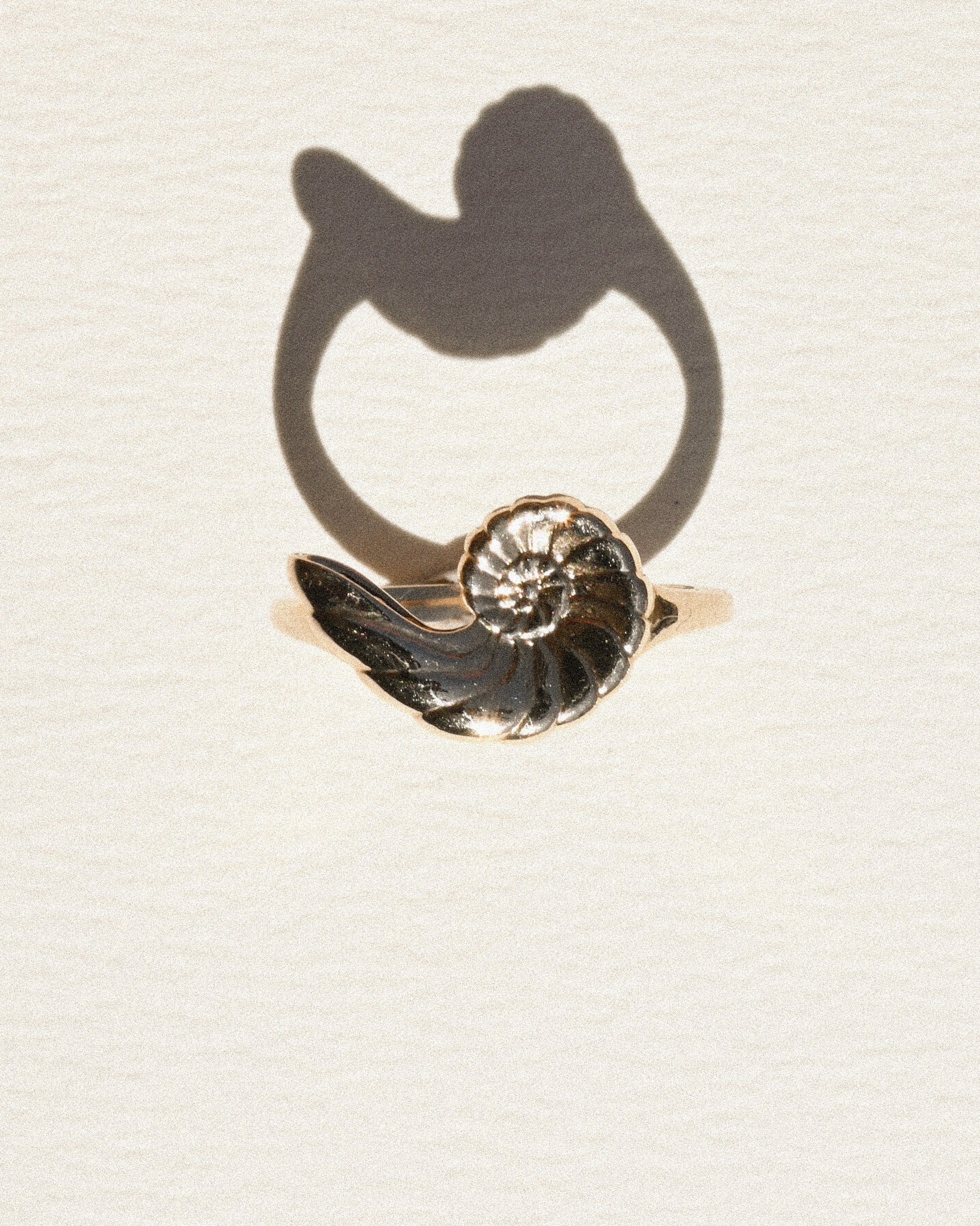 Solace Ammonite Ring