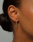 Diamond & Turquoise Honey Hook Drop Earring